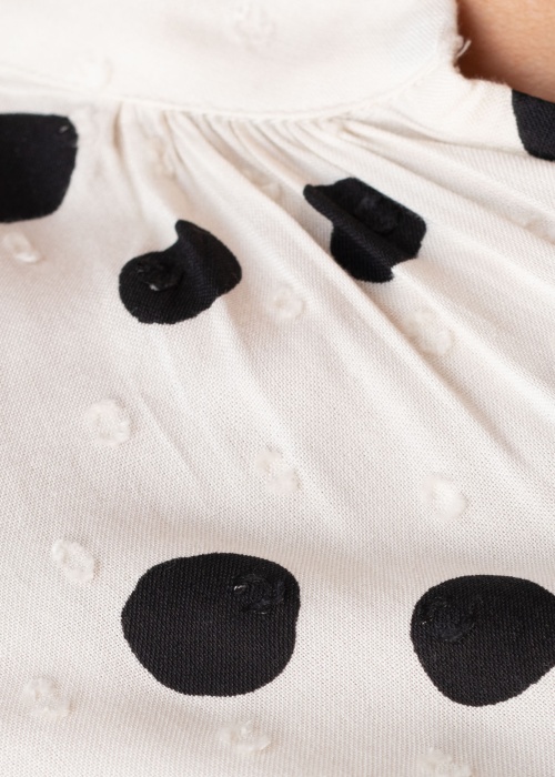 Fransa palaidinė Fanemma