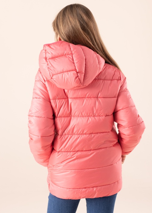 Champion pavasario-rudens striukė