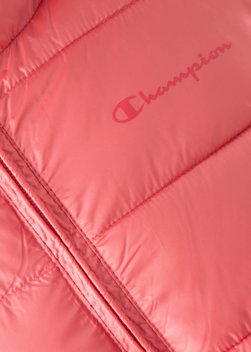 Champion pavasario-rudens striukė