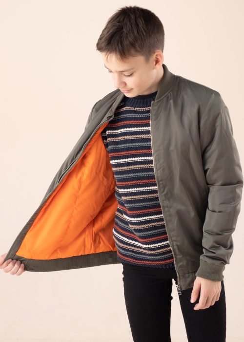 Jack & Jones pavasario-rudens striukė Lake