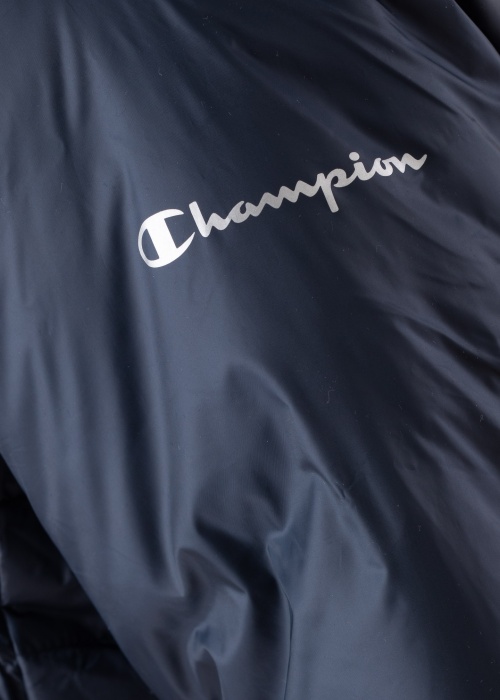 Champion pavasario-rudens striukė