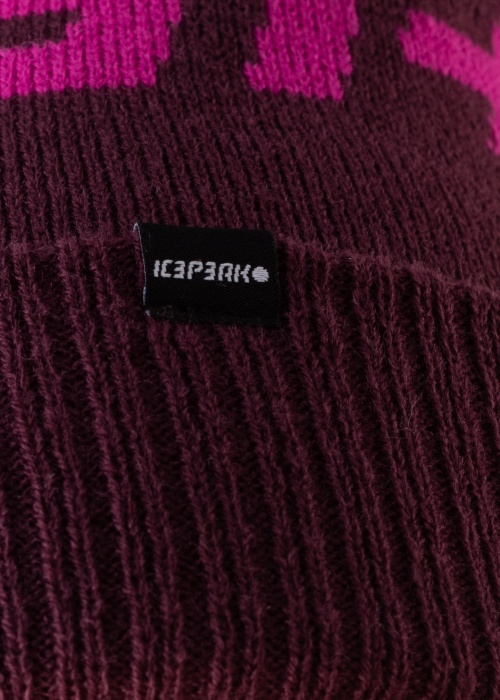 Icepeak žieminė kepurė Hallsburg