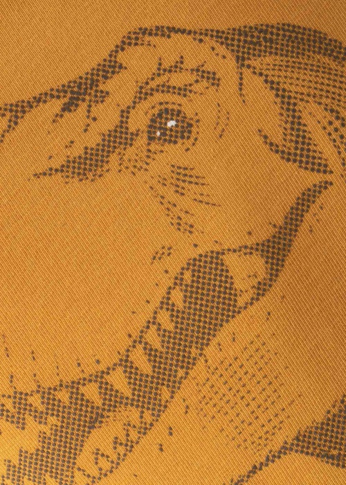 Name It Mini marškinėliai ilgomis rankovėmis Jammy Jurassic