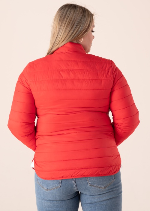 Ciso pavasario-rudens striukė