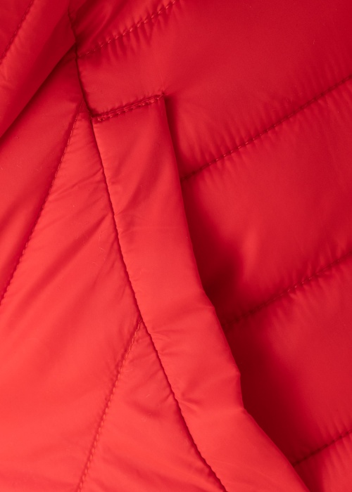 Ciso pavasario-rudens striukė