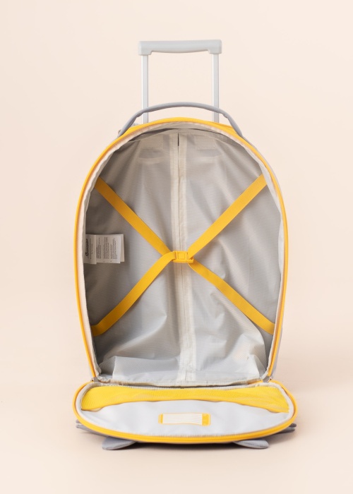 Samsonite lagaminas Raccoon Remy