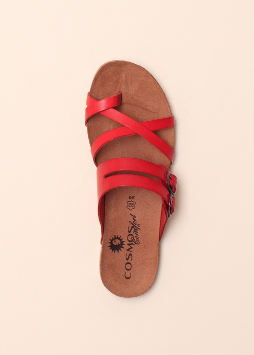 Cosmos sandalai