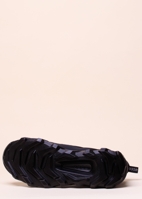 Ecco žygio batai aukštu aulu