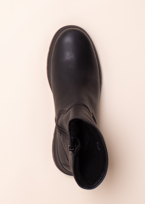 Ecco aulinukai Nouvelle