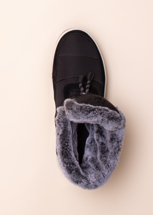 Cougar aulinukai Vibe