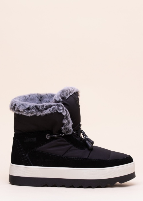 Cougar aulinukai Vibe