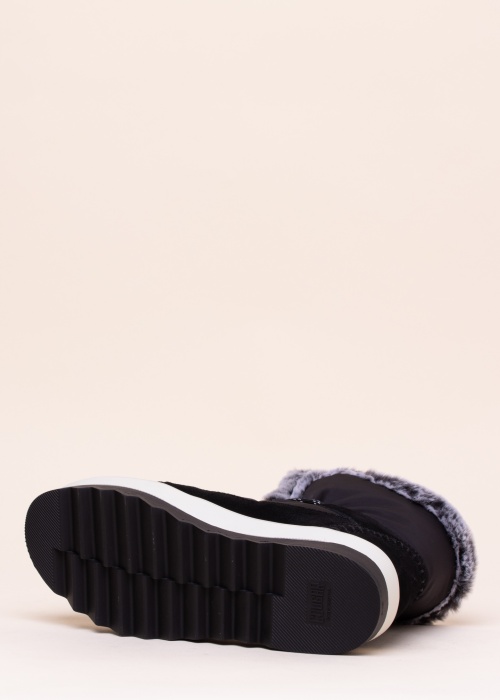 Cougar aulinukai Vibe