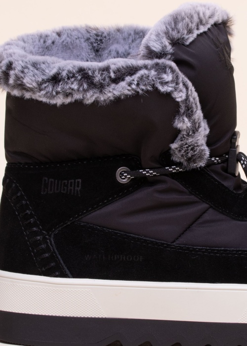 Cougar aulinukai Vibe