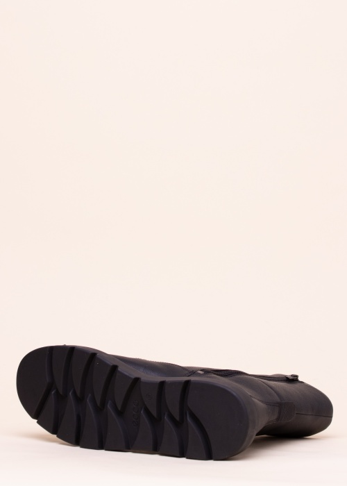 Ecco aulinukai Nouvelle