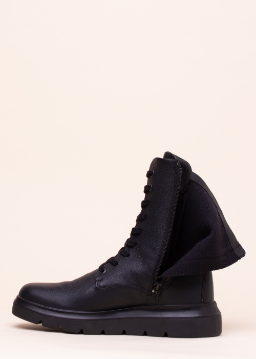 Ecco aulinukai Nouvelle