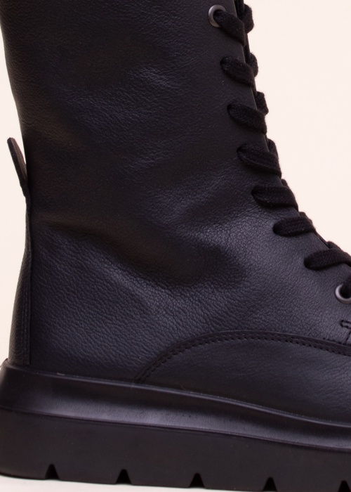 Ecco aulinukai Nouvelle