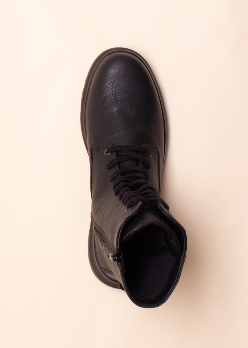 Ecco aulinukai Nouvelle