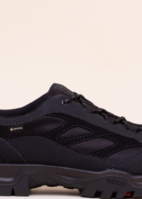 Ecco žygio batai Xpedition Iii