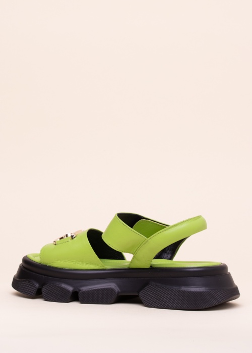 Molly Bessa basutės