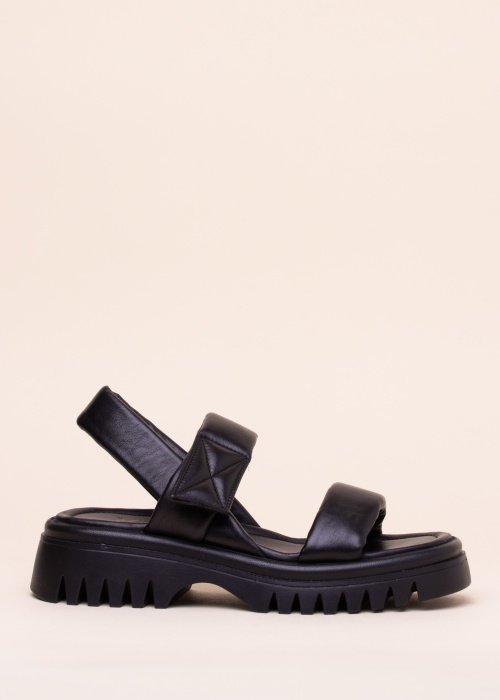 Molly Bessa basutės