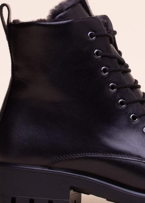 Ecco aulinukai Modtray