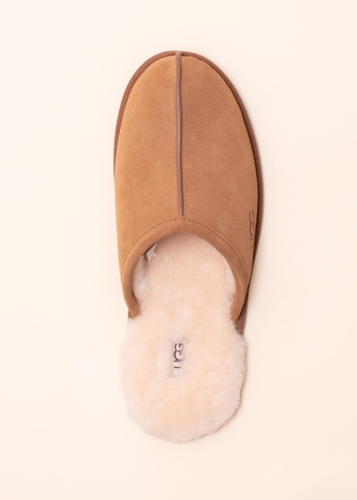 UGG šlepetės  Scuff