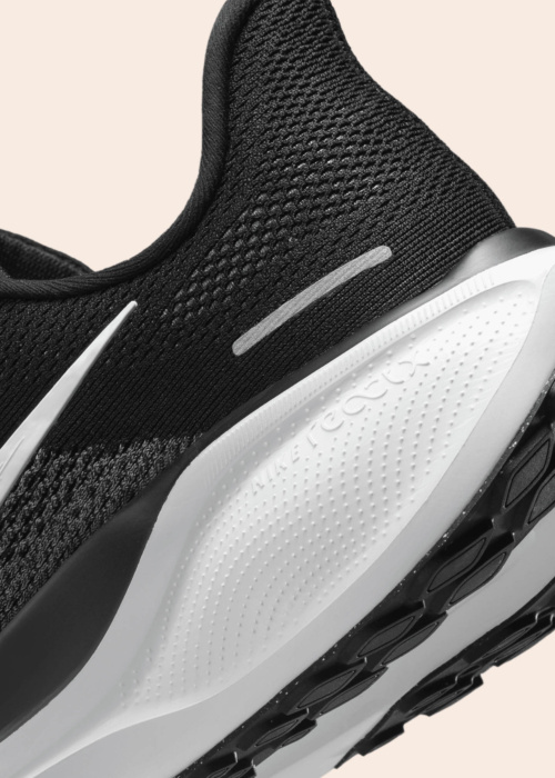 Nike bėgimo bateliai Air Zoom Pegasus 41