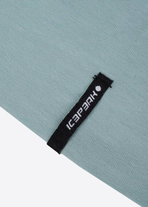 Icepeak pavasario-rudens kepurė Hemet