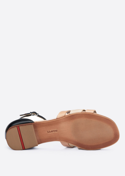 Lloyd bateliai Tessa