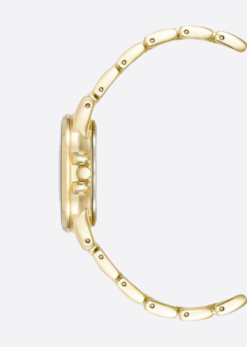 Anne Klein rankinis laikrodis dovanų dėžutėje