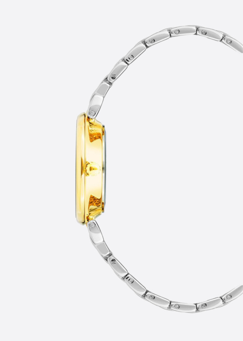 Anne Klein rankinis laikrodis dovanų dėžutėje