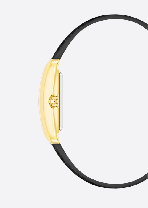 Anne Klein rankinis laikrodis dovanų dėžutėje