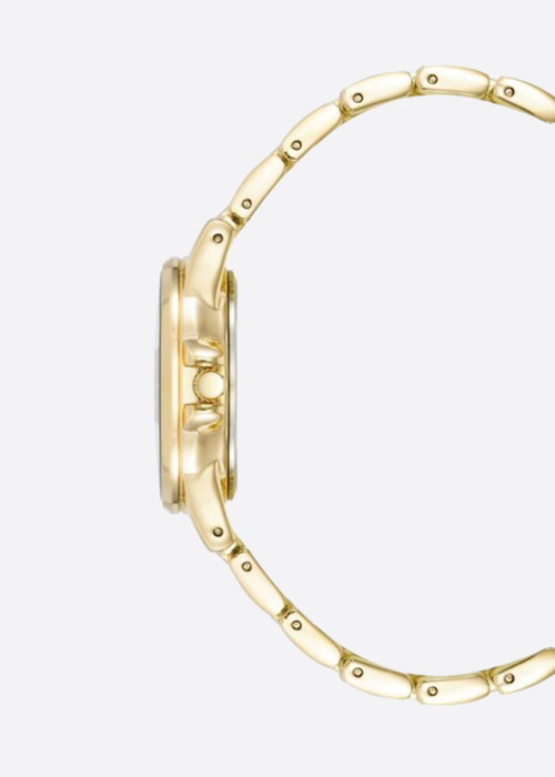 Anne Klein rankinis laikrodis dovanų dėžutėje