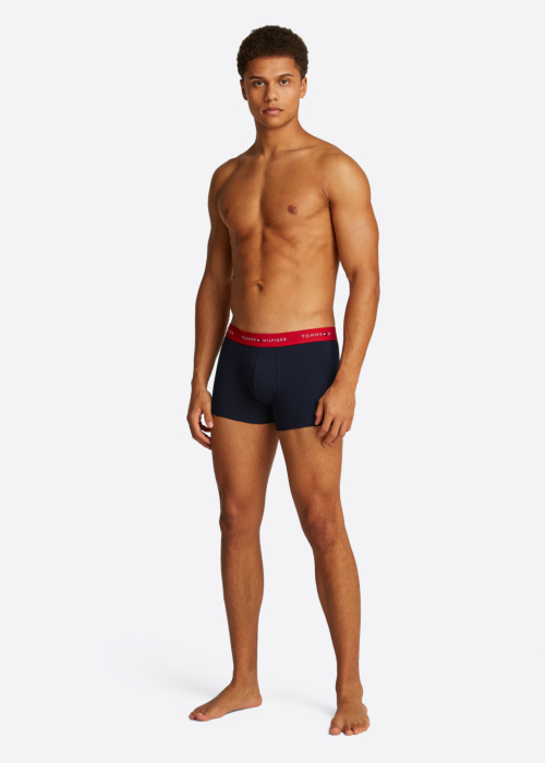 Tommy Hilfiger apatini aidėžutėje 3 vnt.