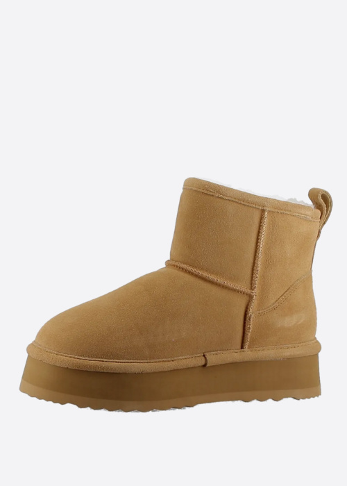 Axelda aulinukai Lisses