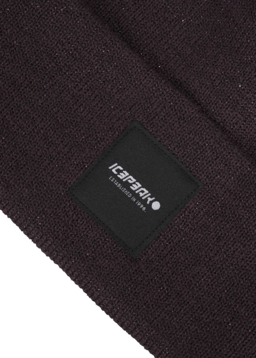 Icepeak kepurė Hanahan