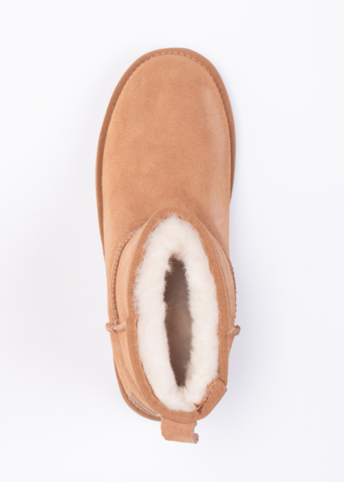 Colors of California aulinukai