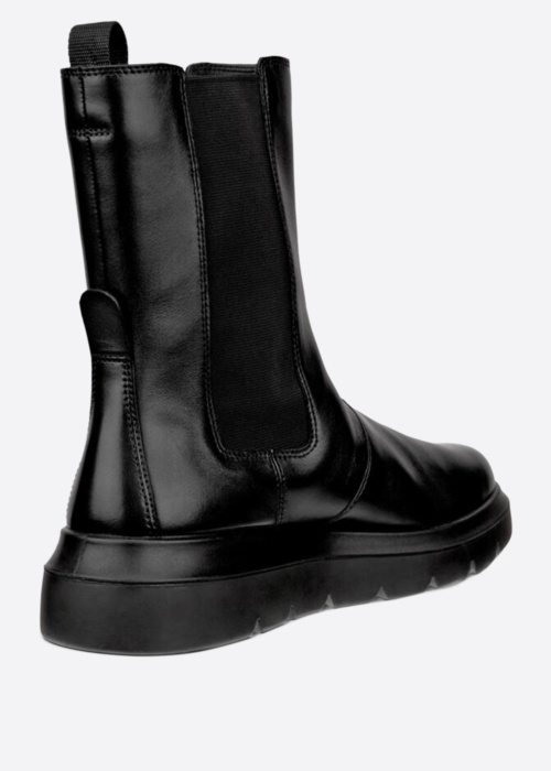 Ecco aulinukai Nouvelle