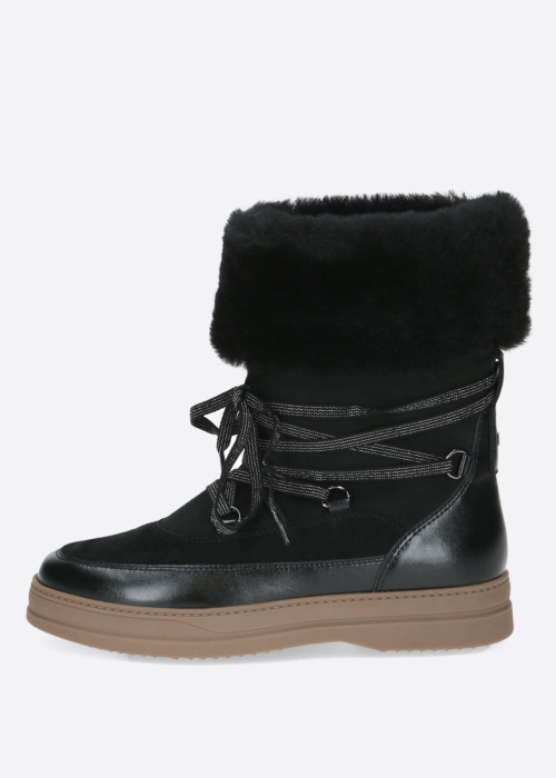 Peter Kaiser aulinukai