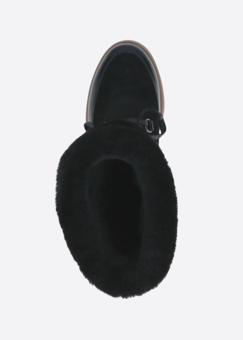 Peter Kaiser aulinukai