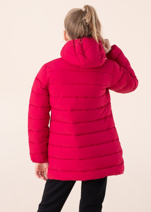 Champion pavasario-rudens-striukė