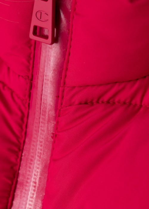 Champion pavasario-rudens-striukė