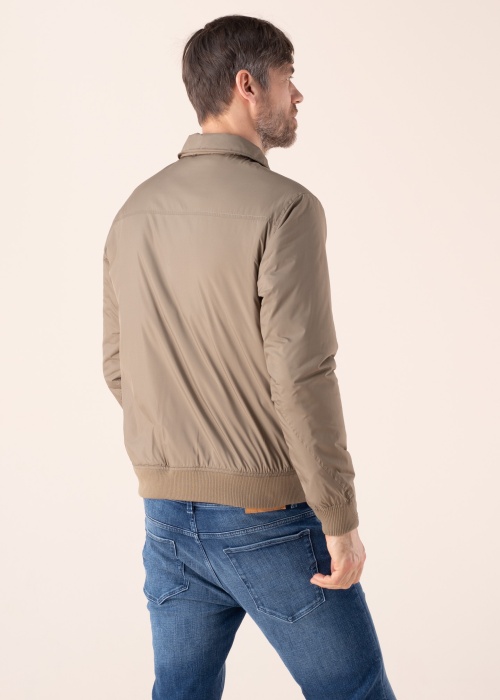 Selected Homme pavasario-rudens striukė Royce