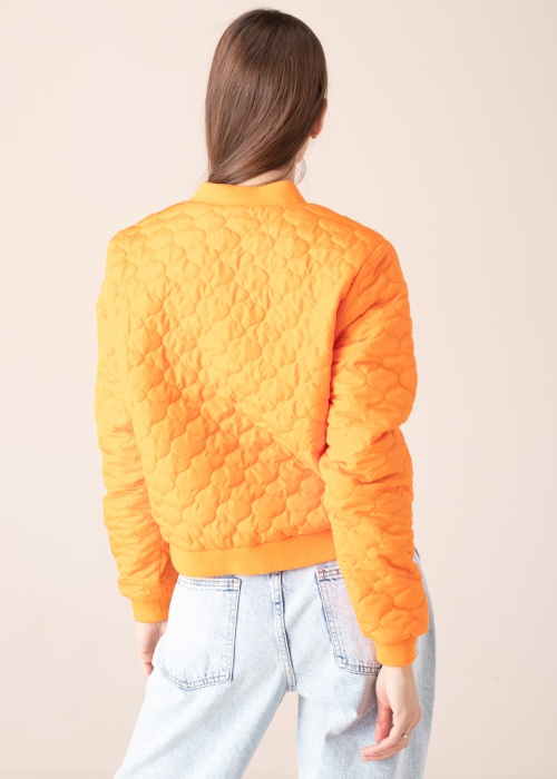 Noisy May Striukės-bomberiai Vivi