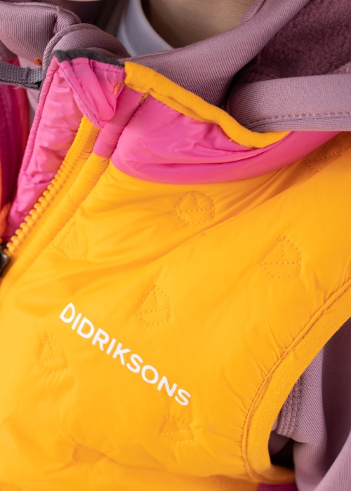 Didriksons liemenė Doro