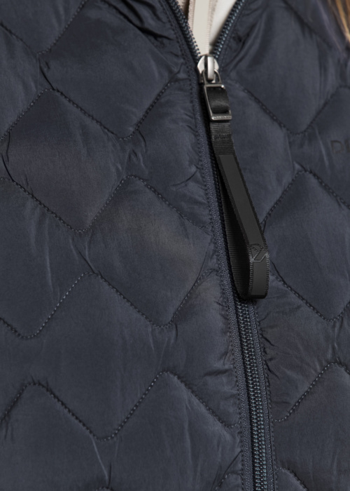 Didriksons liemenė Evy