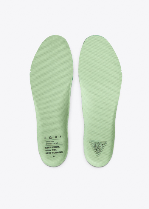 Nike bėgimo bateliai Air Zm Pegasus 41 Gtx