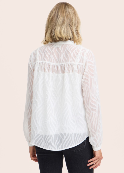 Fransa palaidinė Hazy