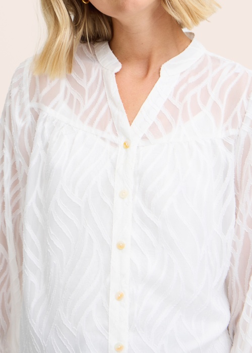 Fransa palaidinė Hazy