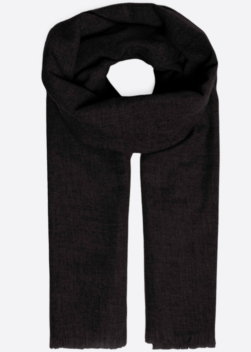 Fransa šalikėlis Parise